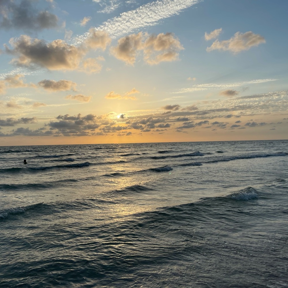 Meet your Posher, Lilly